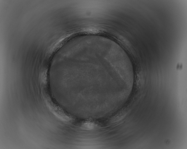 X0000110720596200906261457