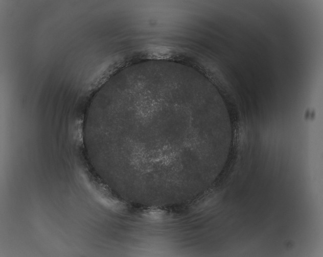 X0000110720598200906261457