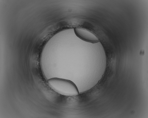 X0000110720599200906261457