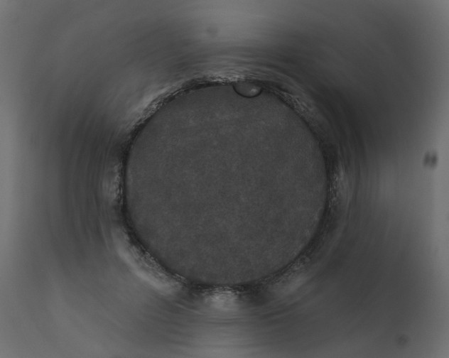 X0000110720600200906261457