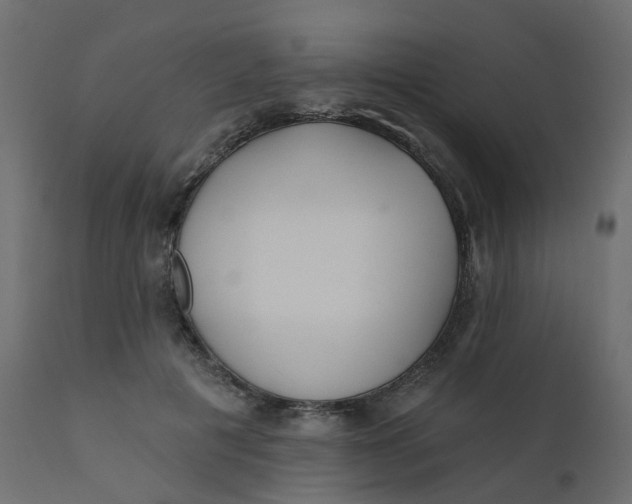 X0000110720601200906261457