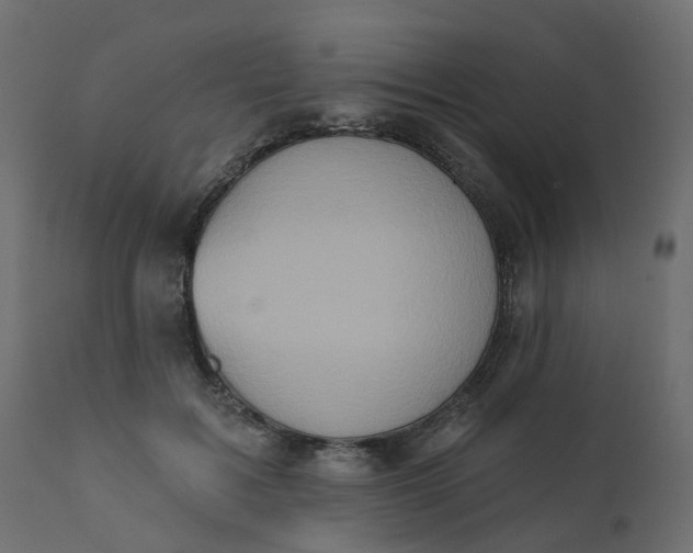 X0000110720603200906261457