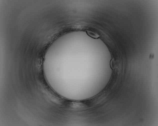 X0000110720605200906261457