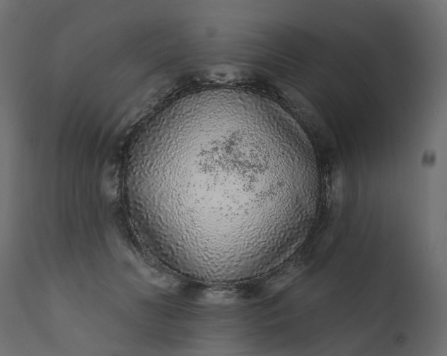 X0000110720606200906261457