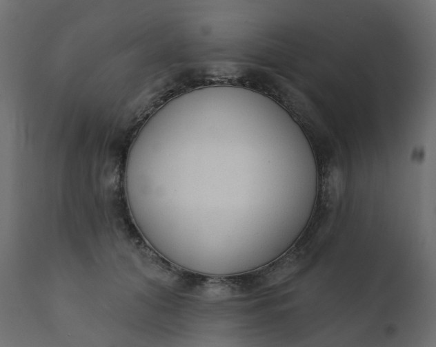 X0000110720608200906261457