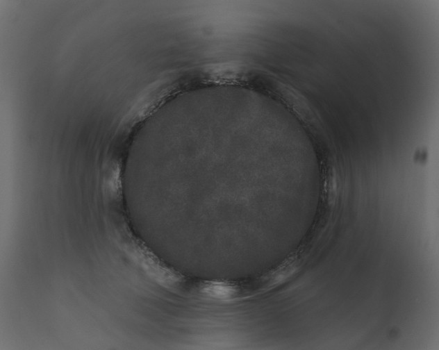 X0000110720610200906261457