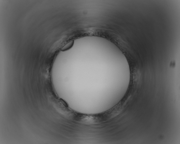 X0000110720611200906261457