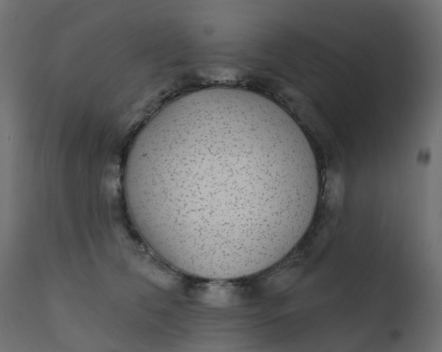 X0000110720612200906261457