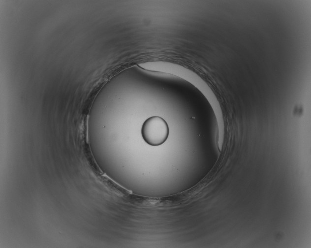 X0000110720613200906261457