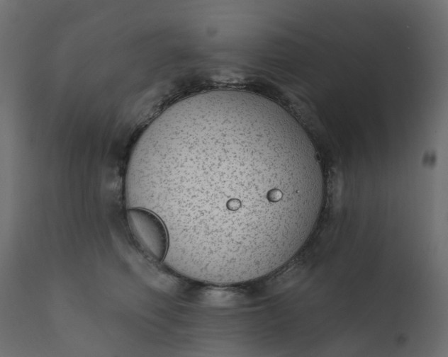 X0000110720614200906261457