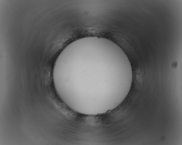 X0000110720615200906261457