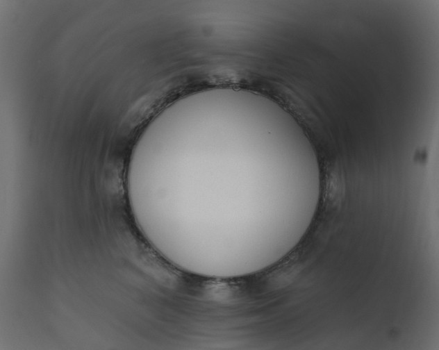 X0000110720616200906261457