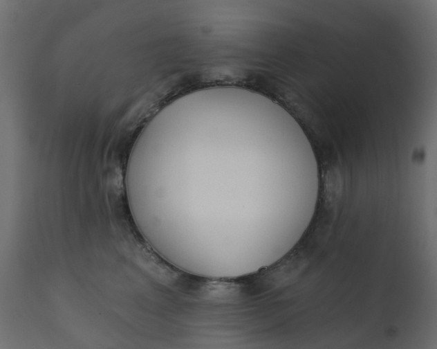 X0000110720617200906261457