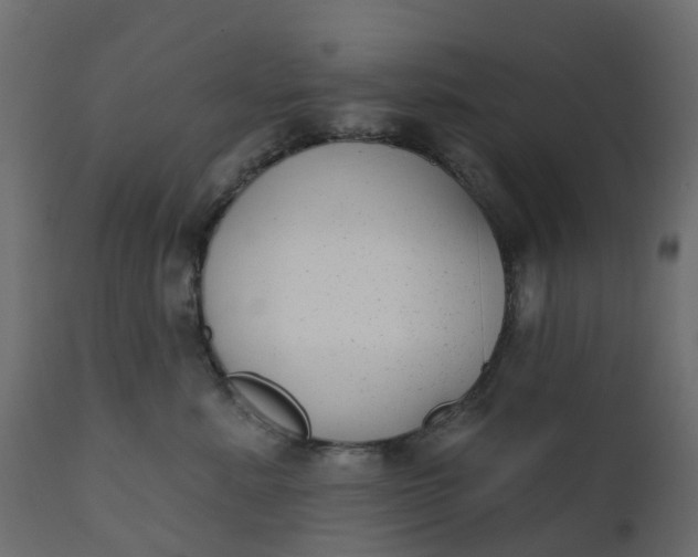 X0000110720619200906261457