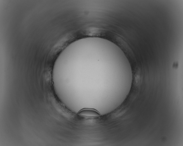 X0000110720620200906261457