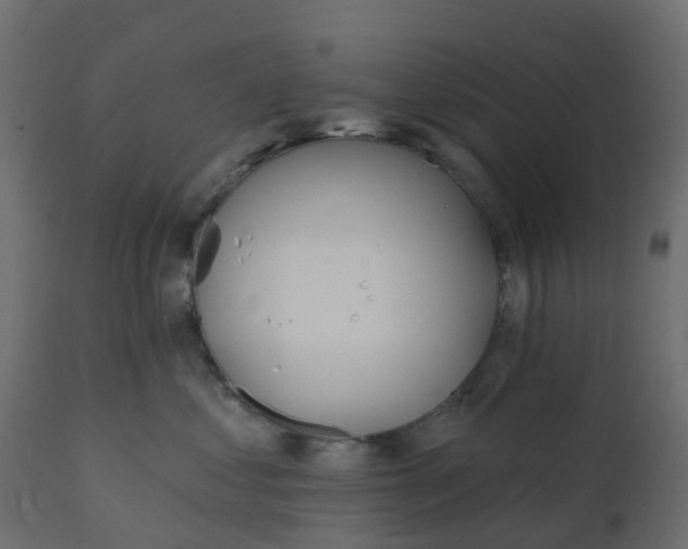 X0000110720621200906261457