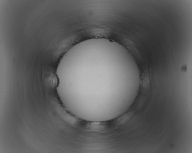 X0000110720622200906261457