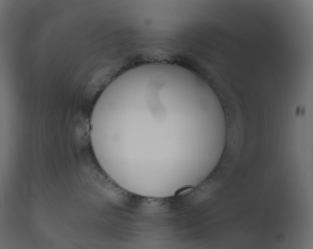 X0000110720624200906261457