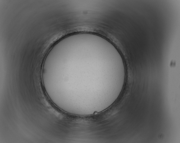 X0000110720625200906261456