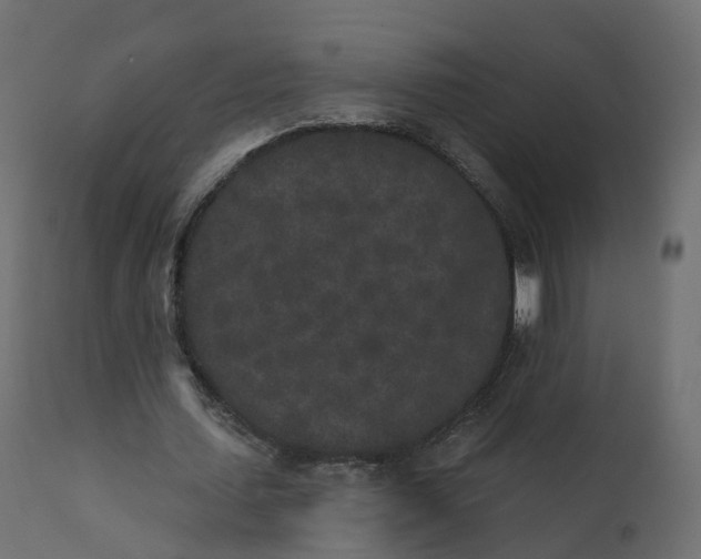 X0000110720627200906261456