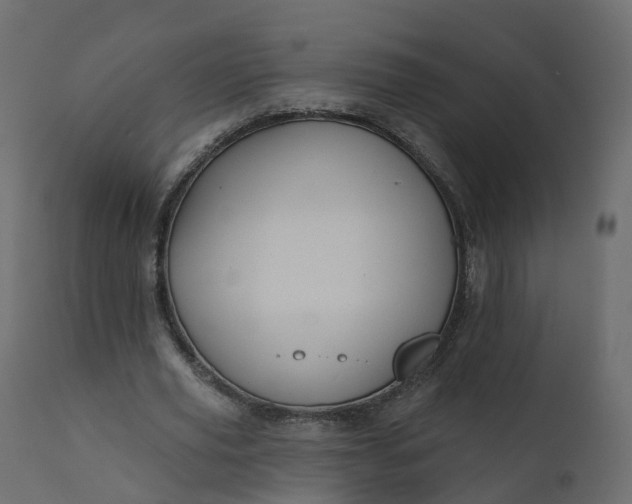 X0000110720629200906261456