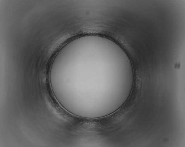 X0000110720631200906261456