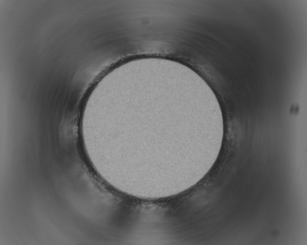 X0000110720632200906261456