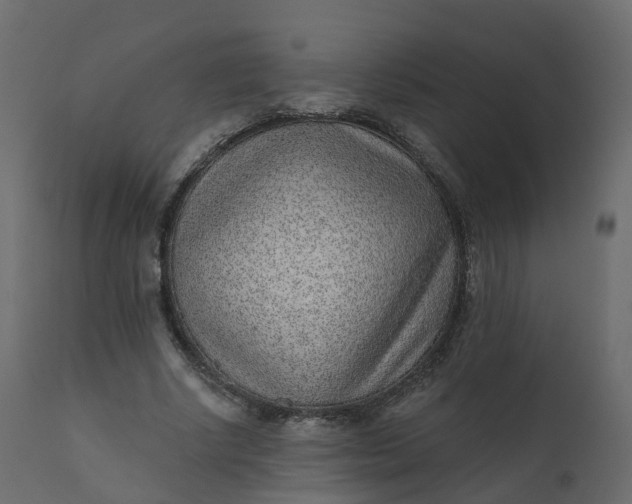 X0000110720634200906261456