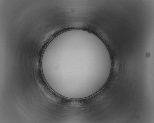 X0000110720636200906261456