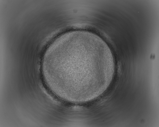 X0000110720637200906261456