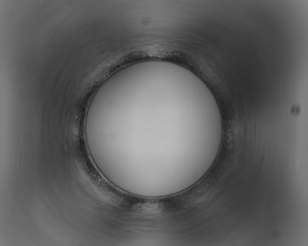 X0000110720639200906261456