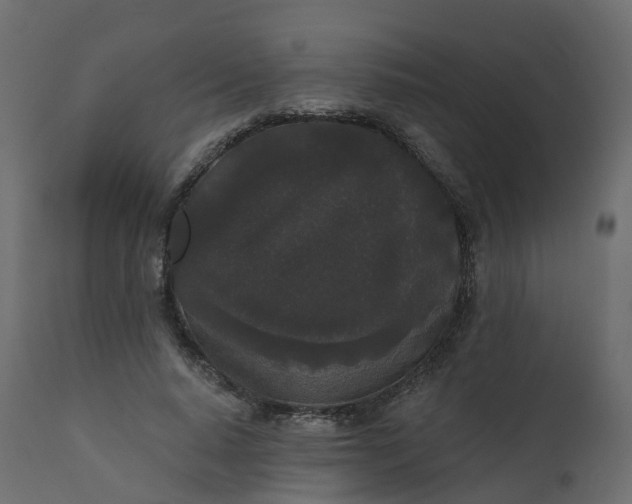 X0000110720640200906261456