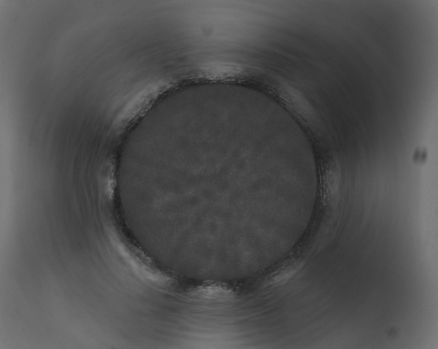 X0000110720644200906261456