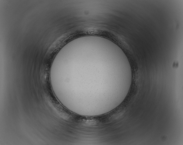 X0000110720645200906261456