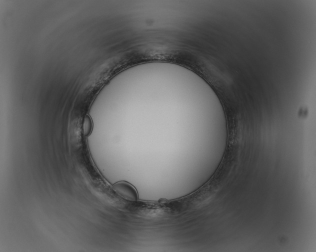 X0000110720646200906261456