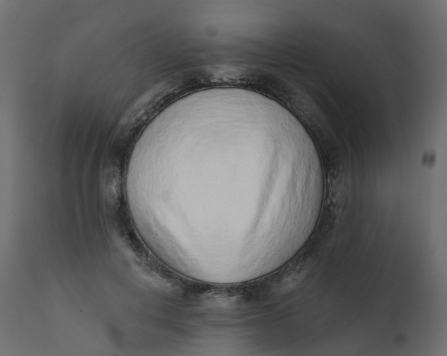 X0000110720648200906261456