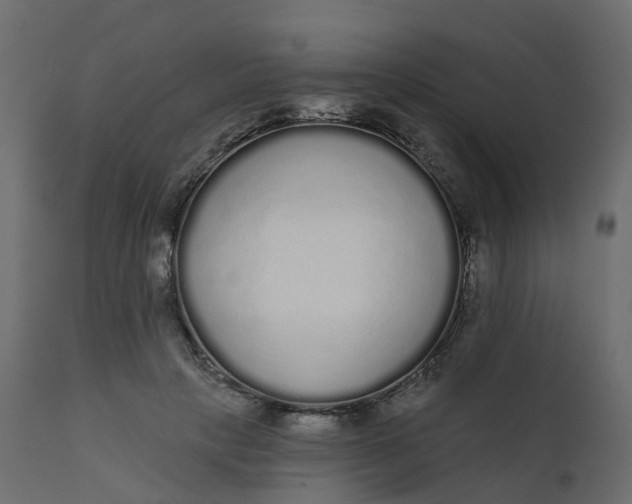 X0000110720649200906261456