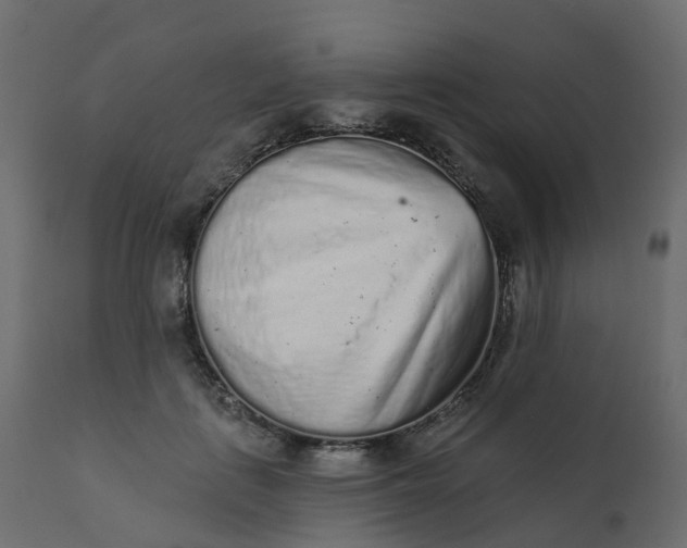 X0000110720651200906261456