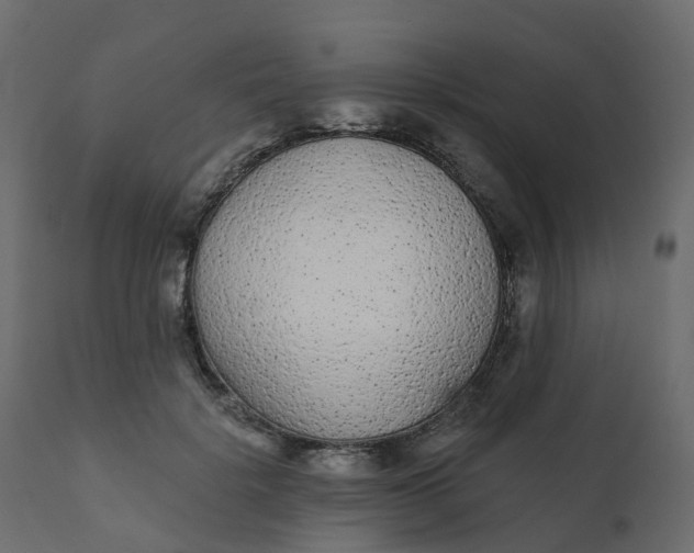 X0000110720652200906261456