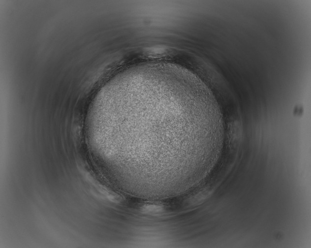 X0000110720653200906261456