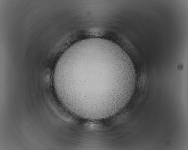 X0000110720655200906261457