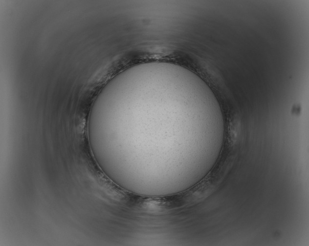 X0000110720657200906261457