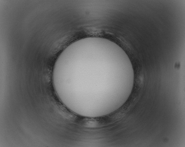 X0000110720658200906261457