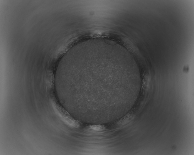 X0000110720659200906261457