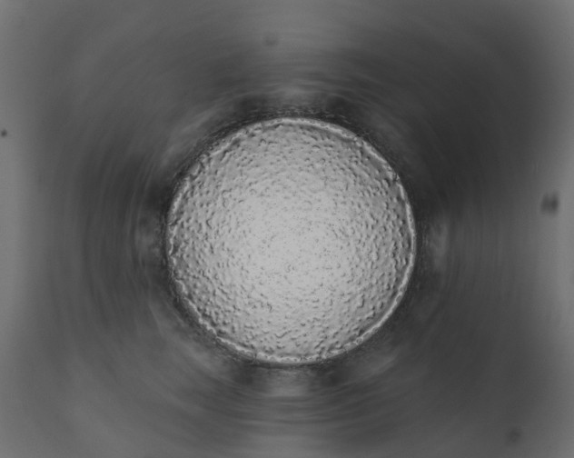 X0000110720663200906261457