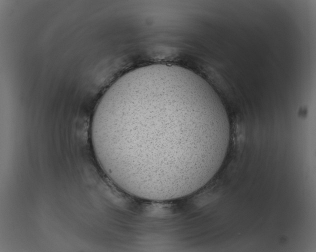 X0000110720664200906261457