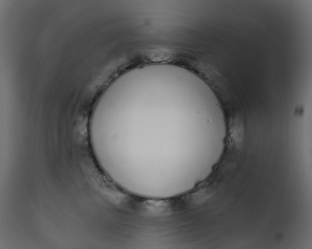 X0000110720667200906261457