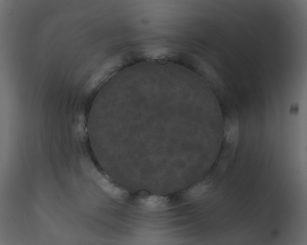 X0000110720670200906261457