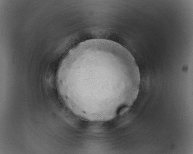 X0000110720671200906261457