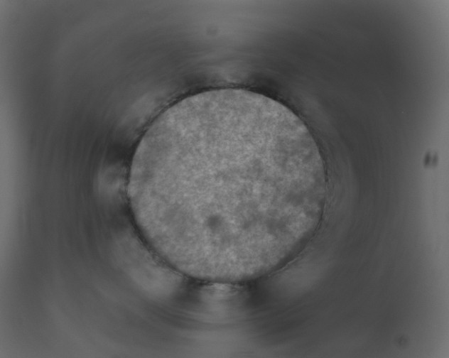 X0000110720672200906261457